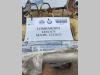 Lombardini Group 673 Photo 6 thumbnail