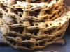 Chain for Caterpillar D6T Photo 1 thumbnail