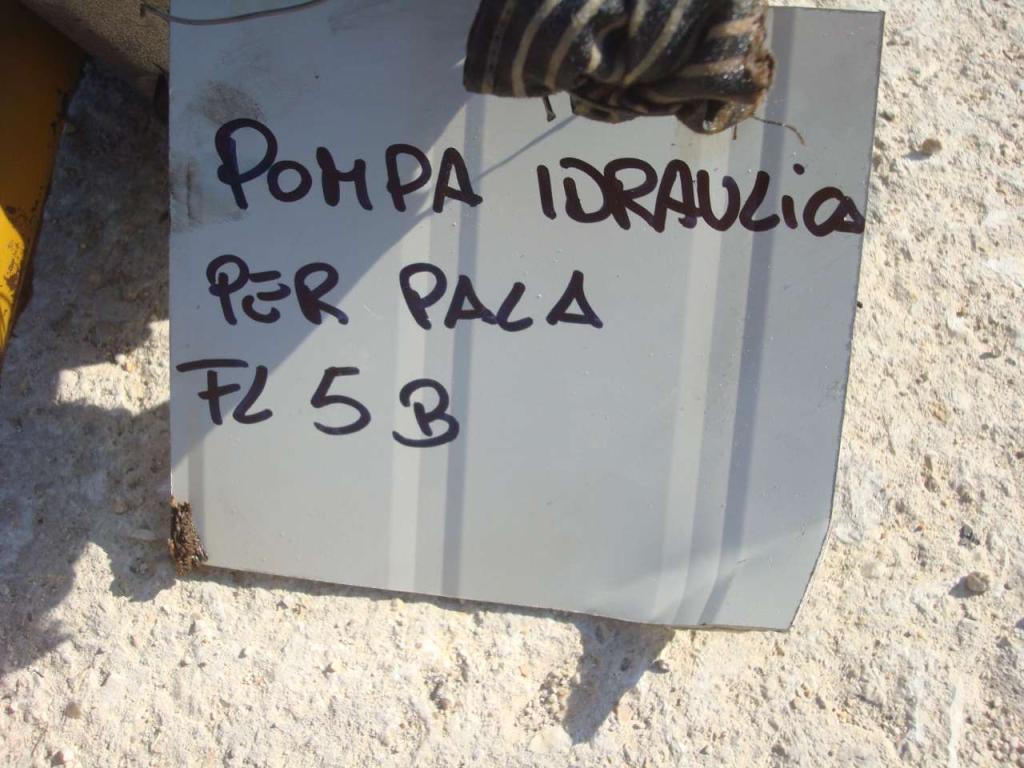 Hydraulic pump for Fiat Allis FL5B E APRIPISTA FD5 Photo 2