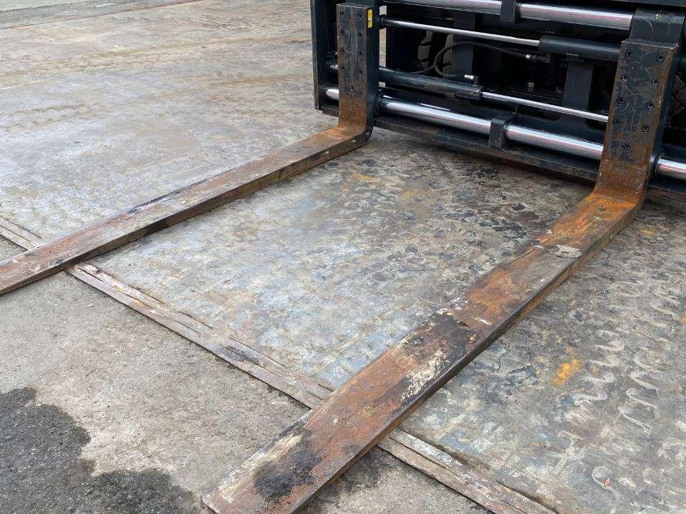 Transclusion FBHL 80 Photo 16