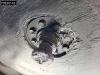 Krone SD Photo 29 thumbnail