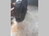 Idler wheel for Daewoo solar 340  solar 330 Photo 1 thumbnail