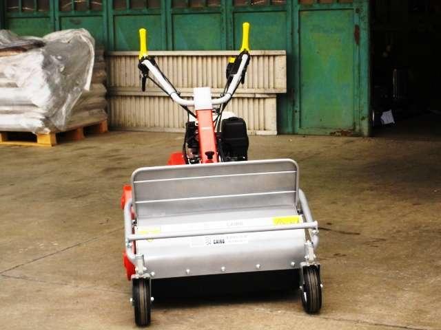 Efco DR 65 HONDA HP 9.5 Photo 2