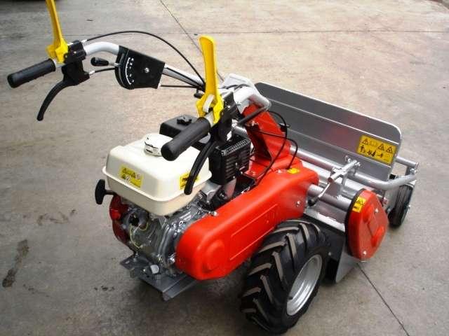 Efco DR 65 HONDA HP 9.5 Photo 7