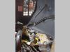 Bomag BW80AD Photo 19 thumbnail