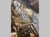 Perlini DP366C Photo 10 thumbnail