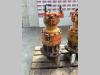 Swing motor for Fiat Hitachi FH 400 Photo 2 thumbnail