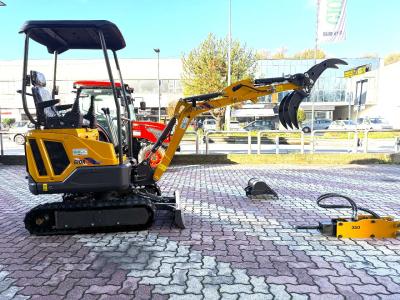 Gior 16 Evo.5 - CON PINZA TRONCHI - POWER KUBOTA sold by Giordano Srl