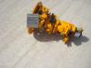 Hydraulic pump for Mecalac A4VG56DA1D6/31R PER 8CXI Photo 1 thumbnail