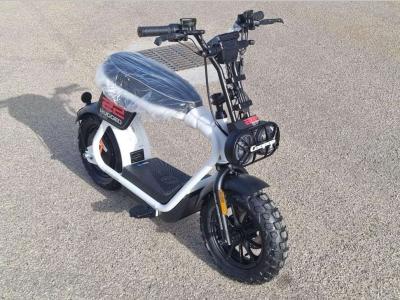 ALTRE MOTO O TIPOLOGIE Elettrico RUGGED sold by Altaimpex Srl