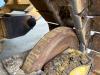 Caterpillar D5 LGP Photo 22 thumbnail