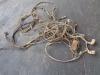 Wiring for Liebherr PR 732 Photo 1 thumbnail