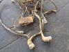 Wiring for Liebherr PR 732 Photo 3 thumbnail