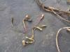 Wiring for Liebherr PR 732 Photo 4 thumbnail