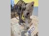 S1 for 20-25 ton excavators Hydraulic quick coupler Photo 1 thumbnail
