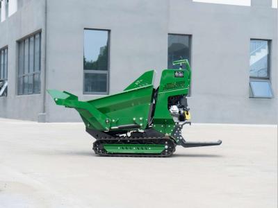 DigRex Dr500c Photo 1