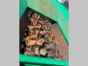 TRITURATORE SCARRABILE USATO BIALBERO Photo 14 thumbnail
