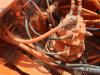 Fiat Hitachi FH200-2 Photo 3 thumbnail