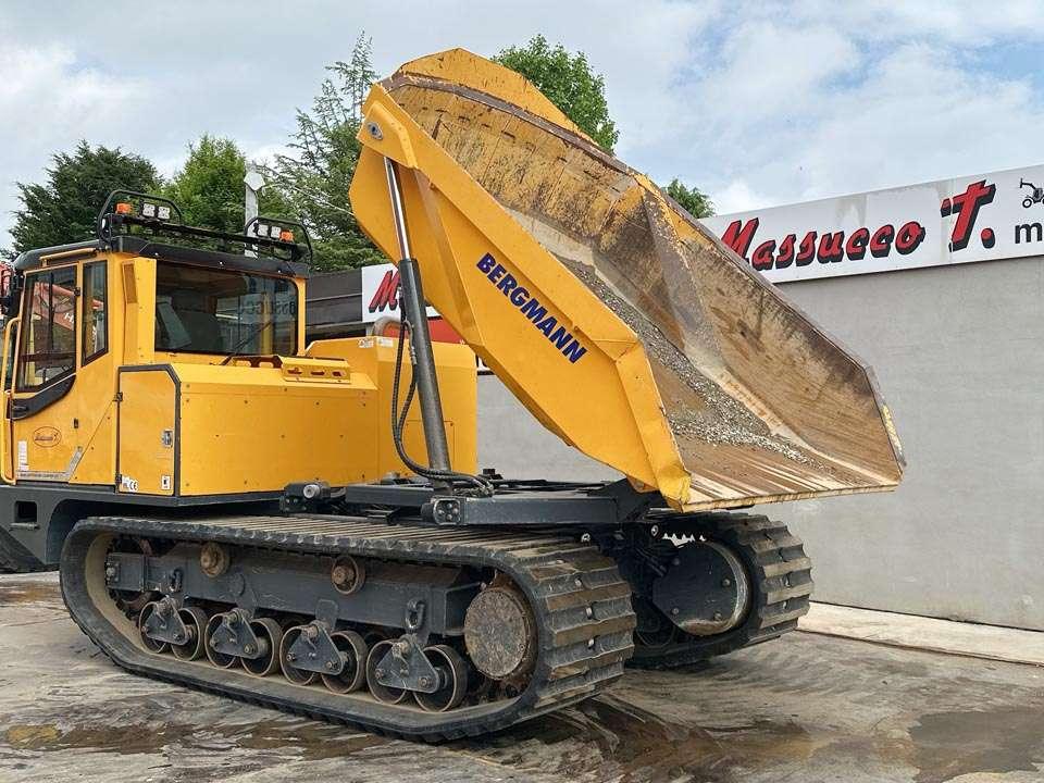 Bergmann 4010R Photo 10