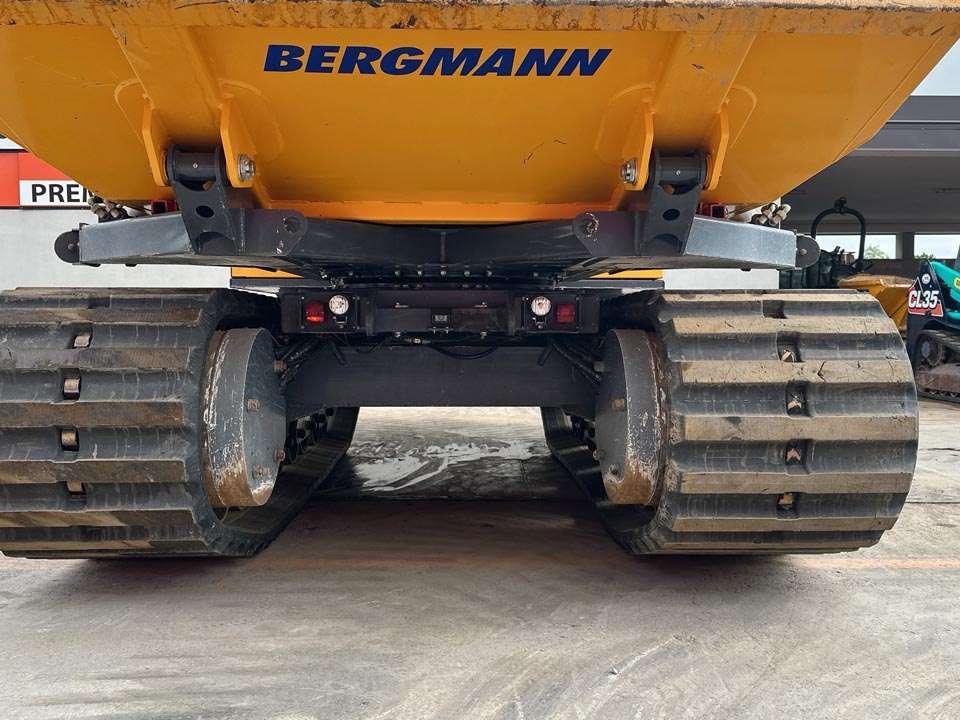Bergmann 4010R Photo 12