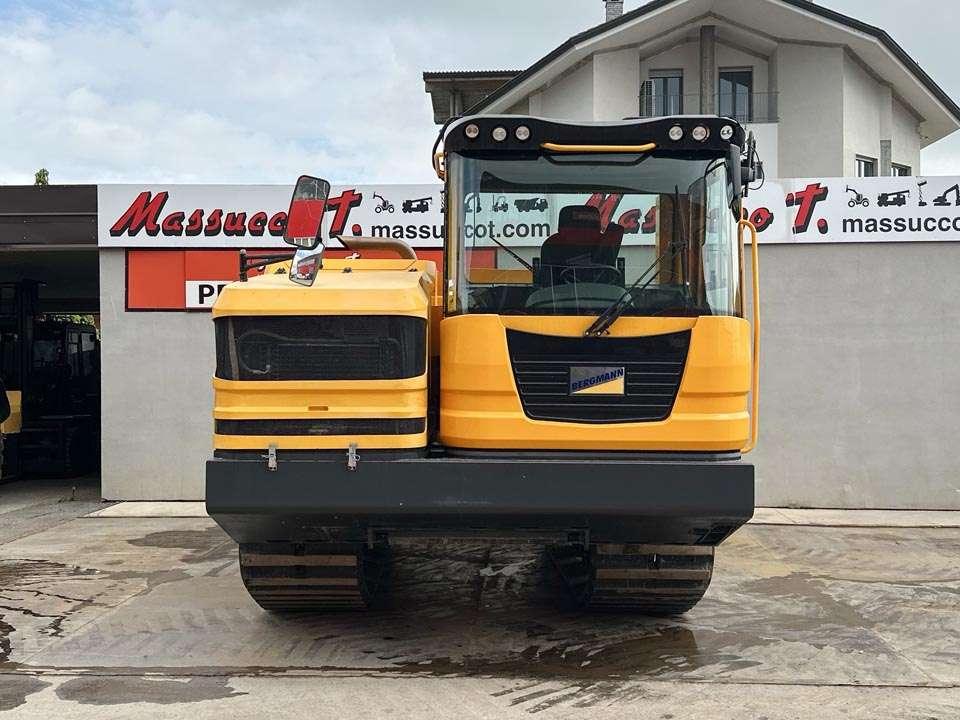 Bergmann 4010R Photo 19