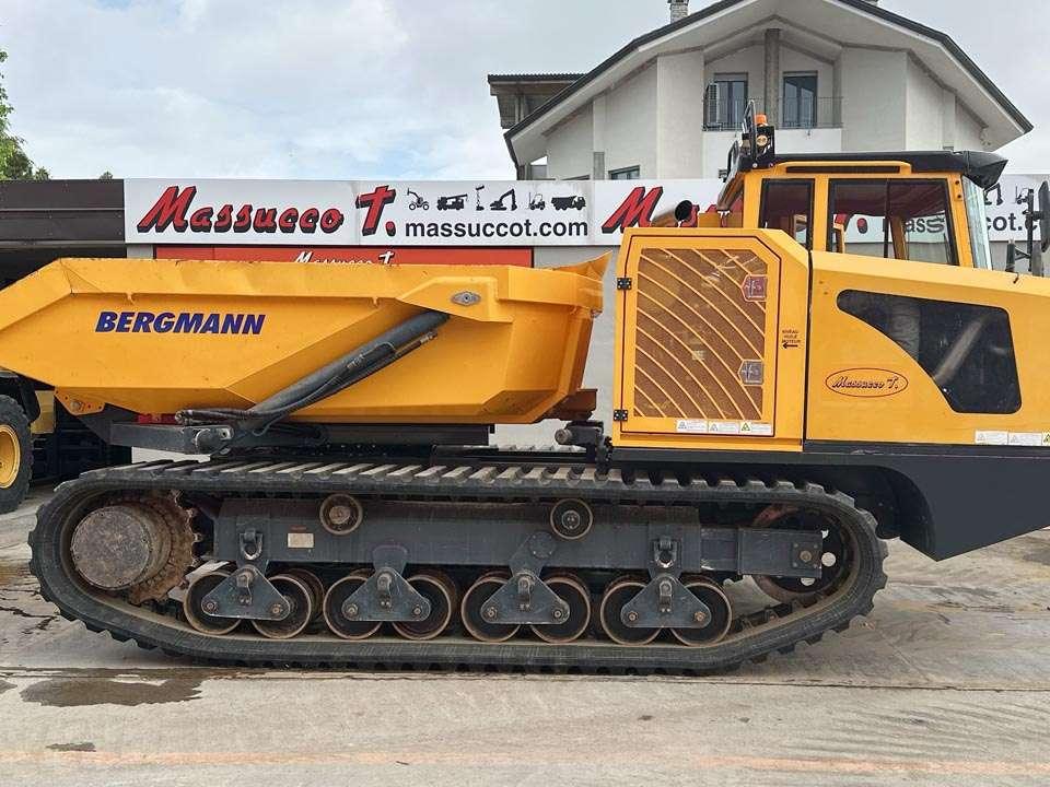 Bergmann 4010R Photo 20