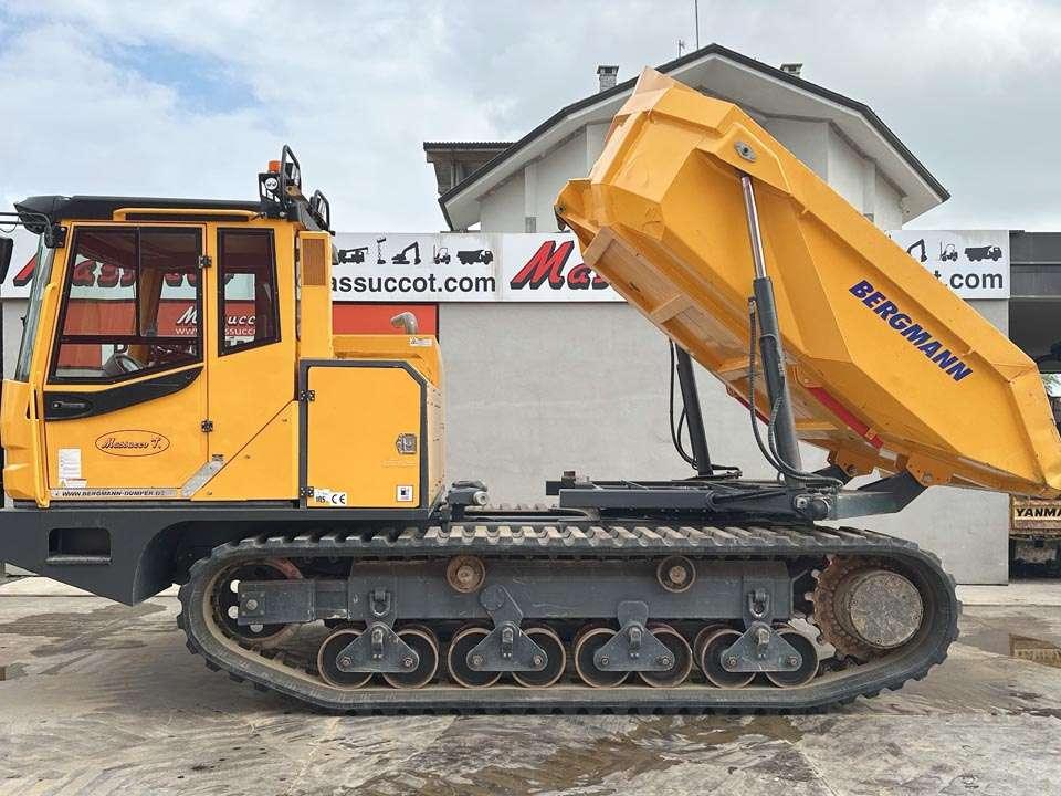 Bergmann 4010R Photo 9
