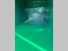 CONTAINER SCARRABILE NUOVO CON COPERCHIO Photo 5 thumbnail