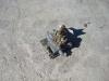 Hydraulic distributor for PALA GOMMATA ZW310 Photo 1 thumbnail