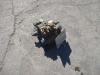 Hydraulic distributor for PALA GOMMATA ZW310 Photo 2 thumbnail