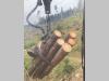ZOGGELER ZBH58 Photo 6 thumbnail