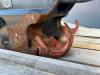 OilQuick OQ65 - 311F / 313F / 315F Photo 10 thumbnail