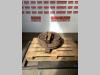 Idler wheel for Caterpillar 320 SVA Photo 1 thumbnail