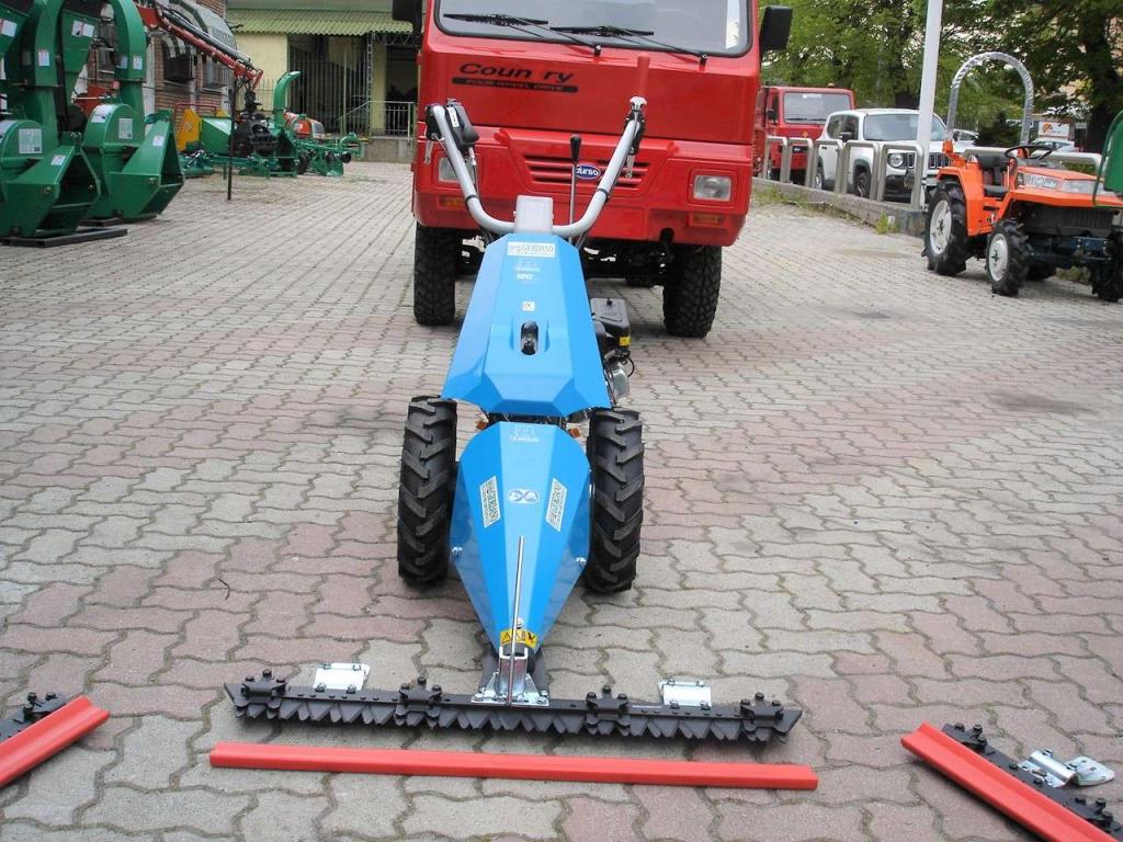 Bertolini 120 S - MOTORE EMAK BENZINA Photo 3