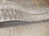 Rubber tracks for per minipala - misure 450-86-55 Photo 1 thumbnail