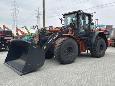 Hitachi ZW250-7 sold by Massucco T. Srl
