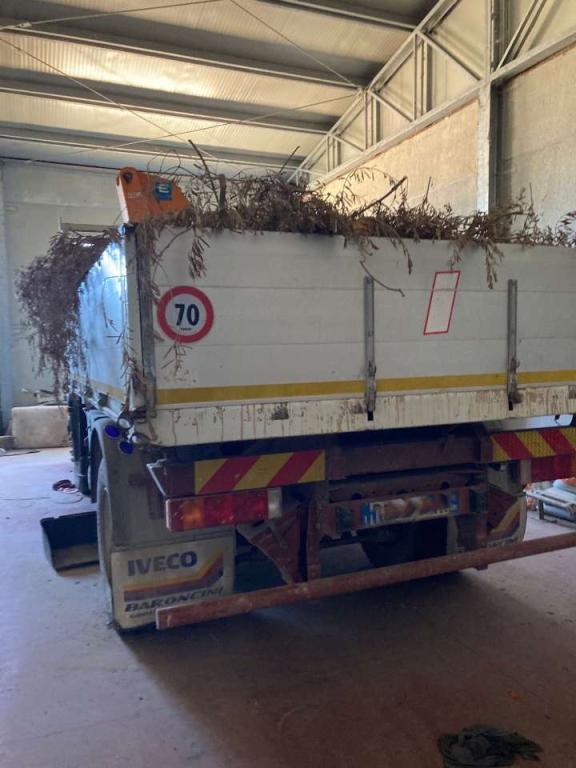 Iveco 150E24 Photo 4