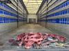 Krone SD 3 axles Anti Vandalism Sliding Roof Photo 10 thumbnail