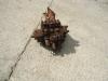 Hydraulic distributor for Fiat Kobelco W190 Photo 2 thumbnail