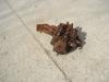 Hydraulic distributor for Fiat Kobelco W190 Photo 3 thumbnail