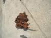 Hydraulic distributor for Fiat Kobelco W190 Photo 4 thumbnail