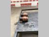 Carrier rollers for Hitachi Zx135 US-7 Photo 2 thumbnail