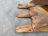 Verachtert CW40S Photo 8 thumbnail