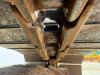 Kobelco SK135SRLC-1E - Extra High Cabin / Hammer Lines Photo 23 thumbnail
