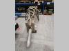 Furukawa FXJ475 Photo 1 thumbnail