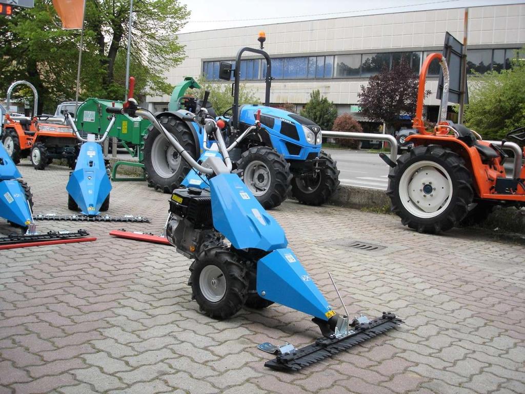 Bertolini 110 - MOTORE EMAK BENZINA Photo 11