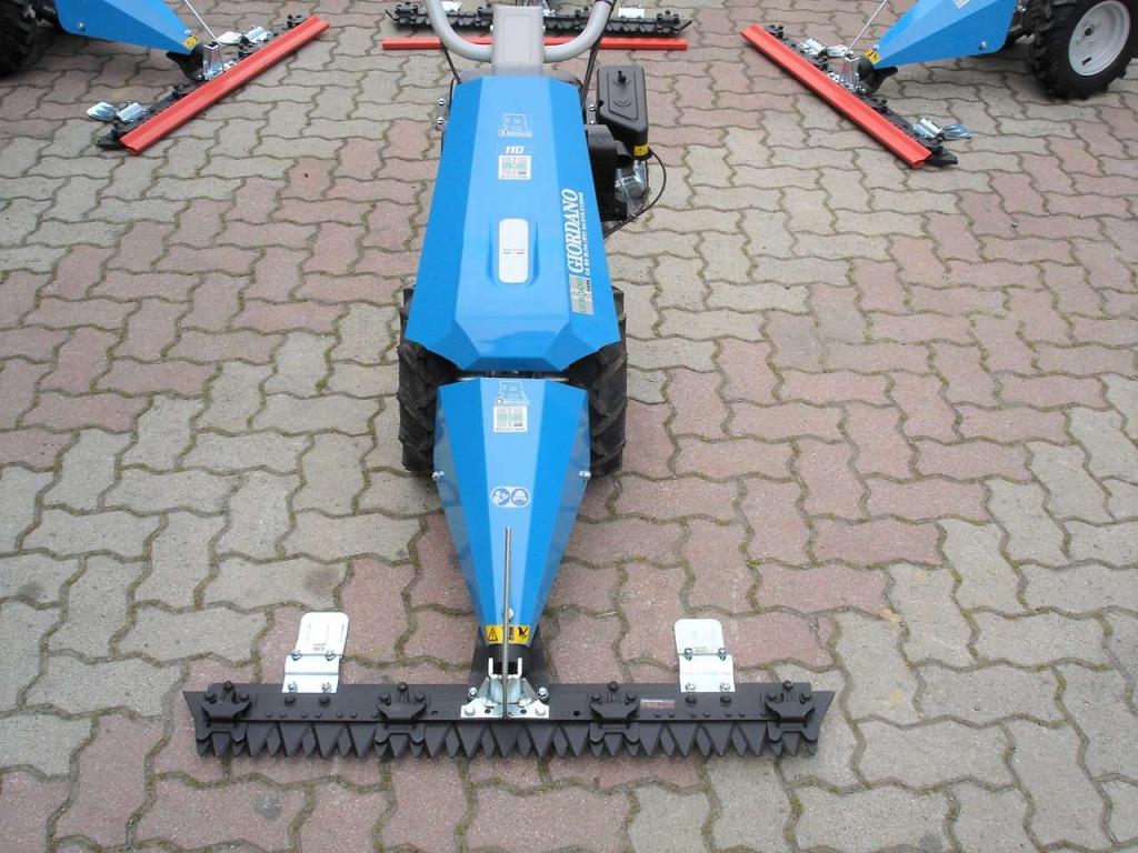 Bertolini 110 - MOTORE EMAK BENZINA Photo 12