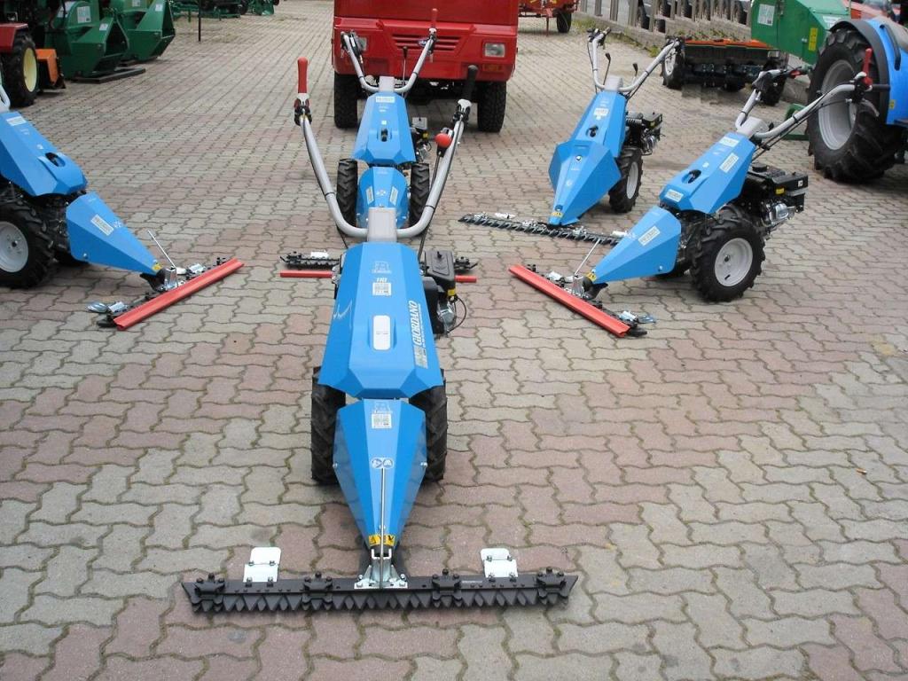 Bertolini 110 - MOTORE EMAK BENZINA Photo 2
