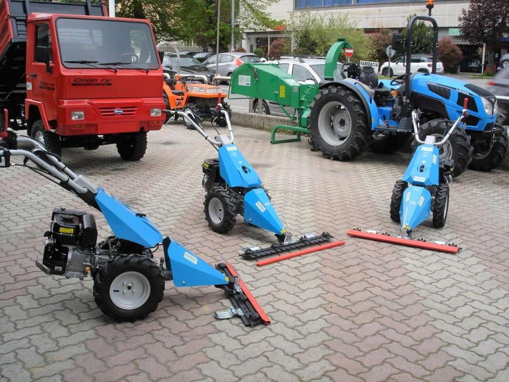 Bertolini 110 - MOTORE EMAK BENZINA Photo 22