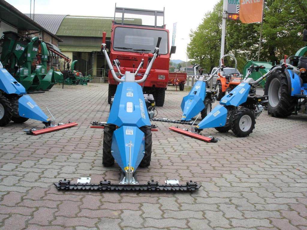 Bertolini 110 - MOTORE EMAK BENZINA Photo 3